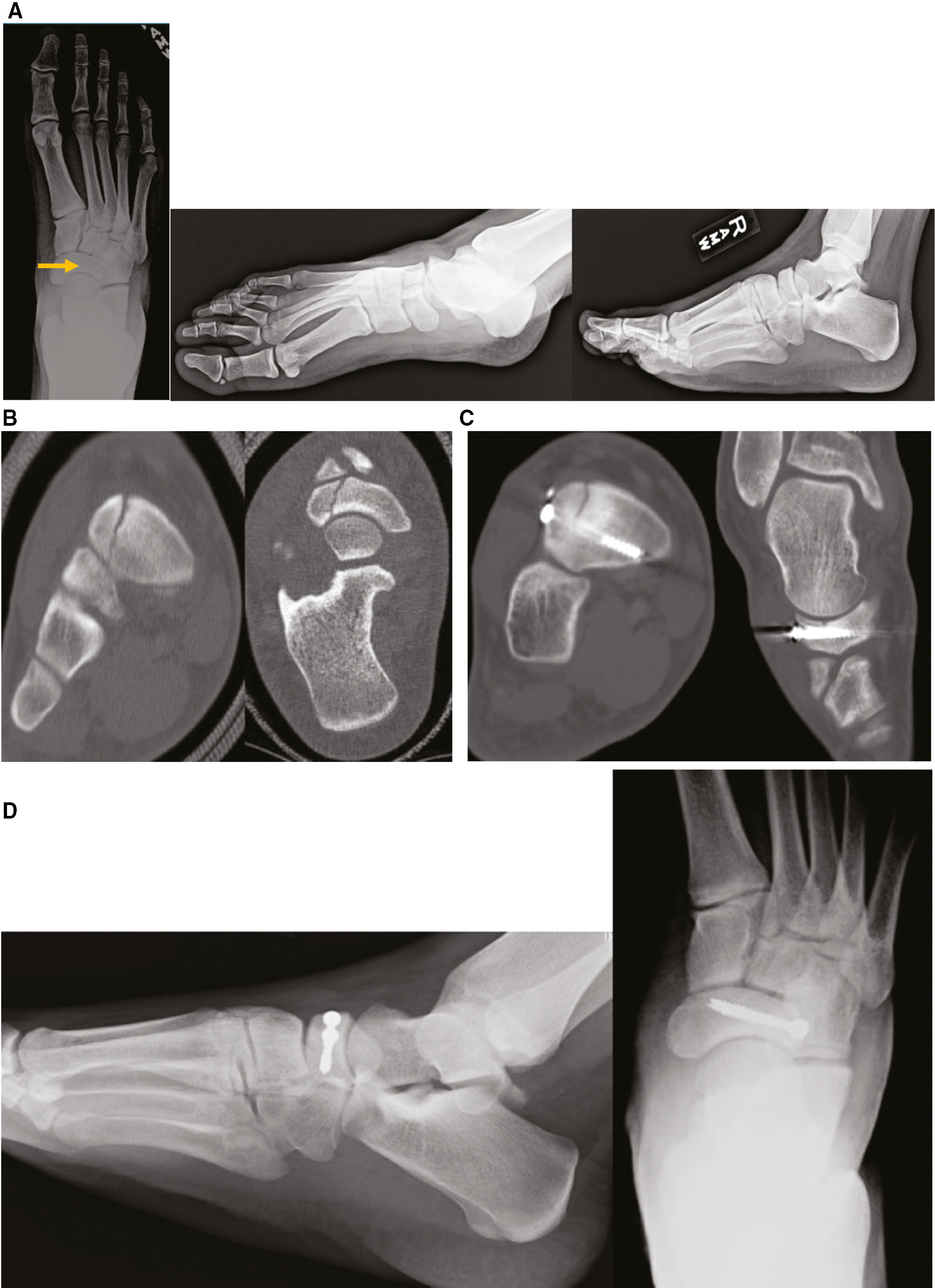 jposna20220022_fig2.jpg