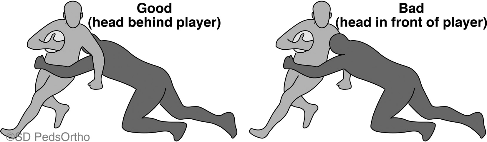 jposna20220019_fig3.jpg