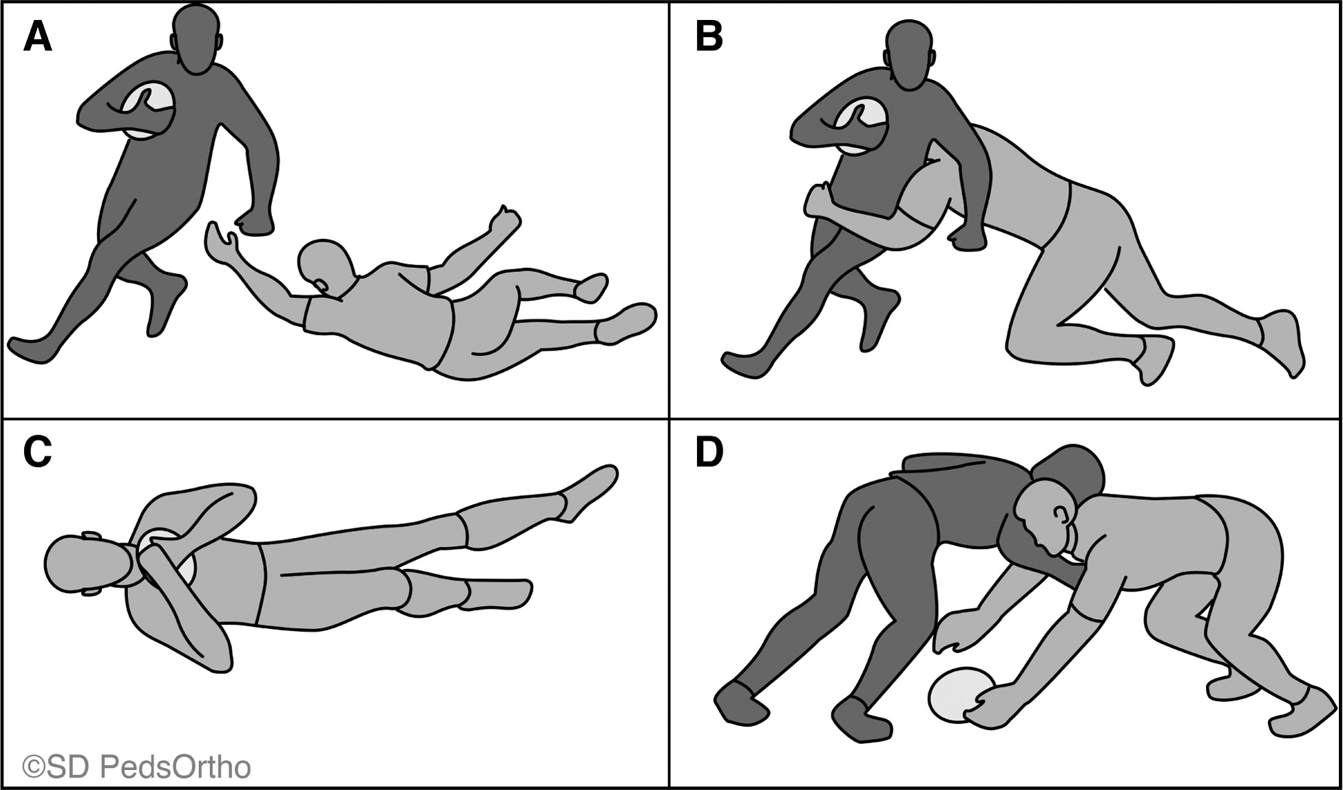 jposna20220019_fig5.jpg