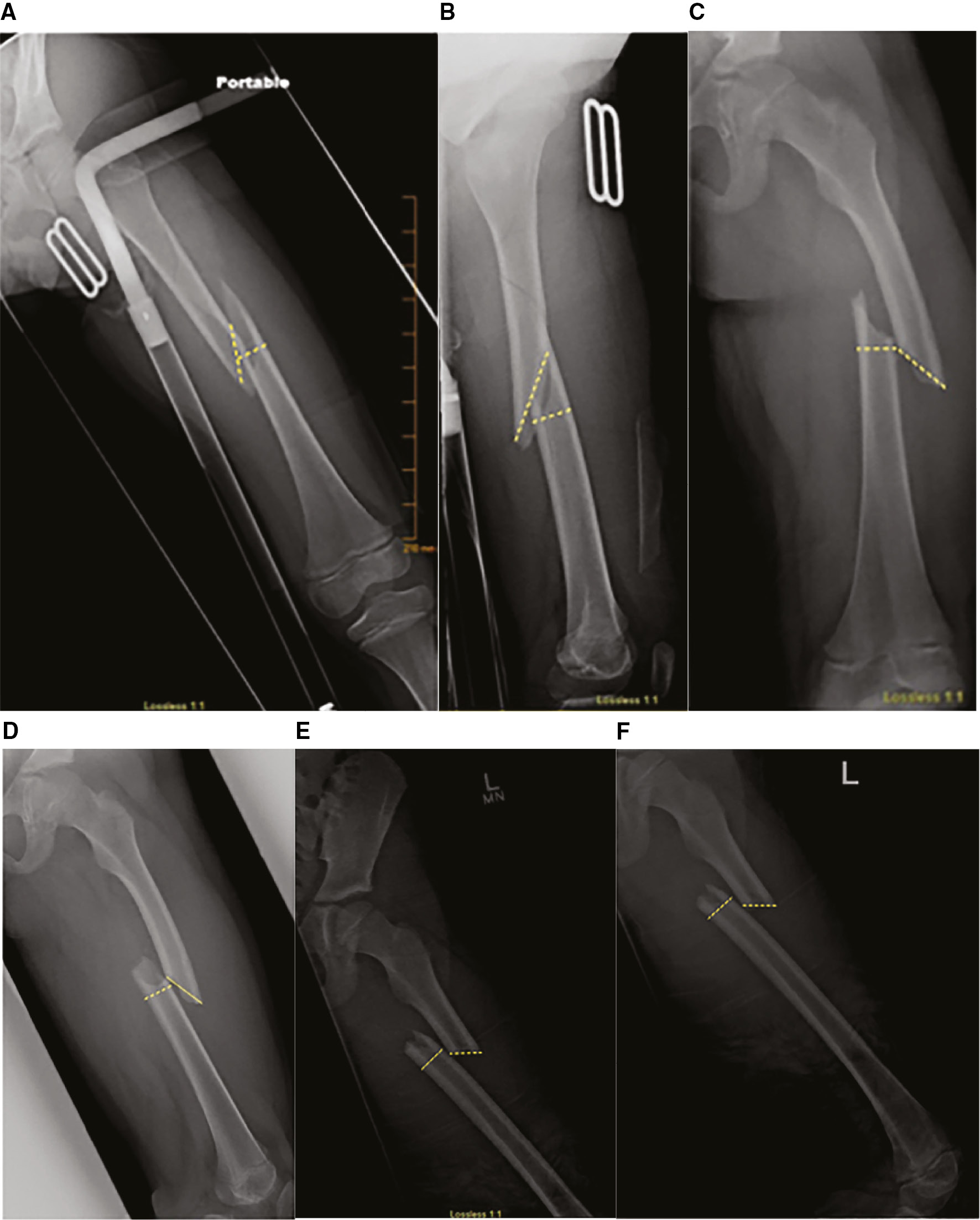 jposna20220036_fig2.jpg