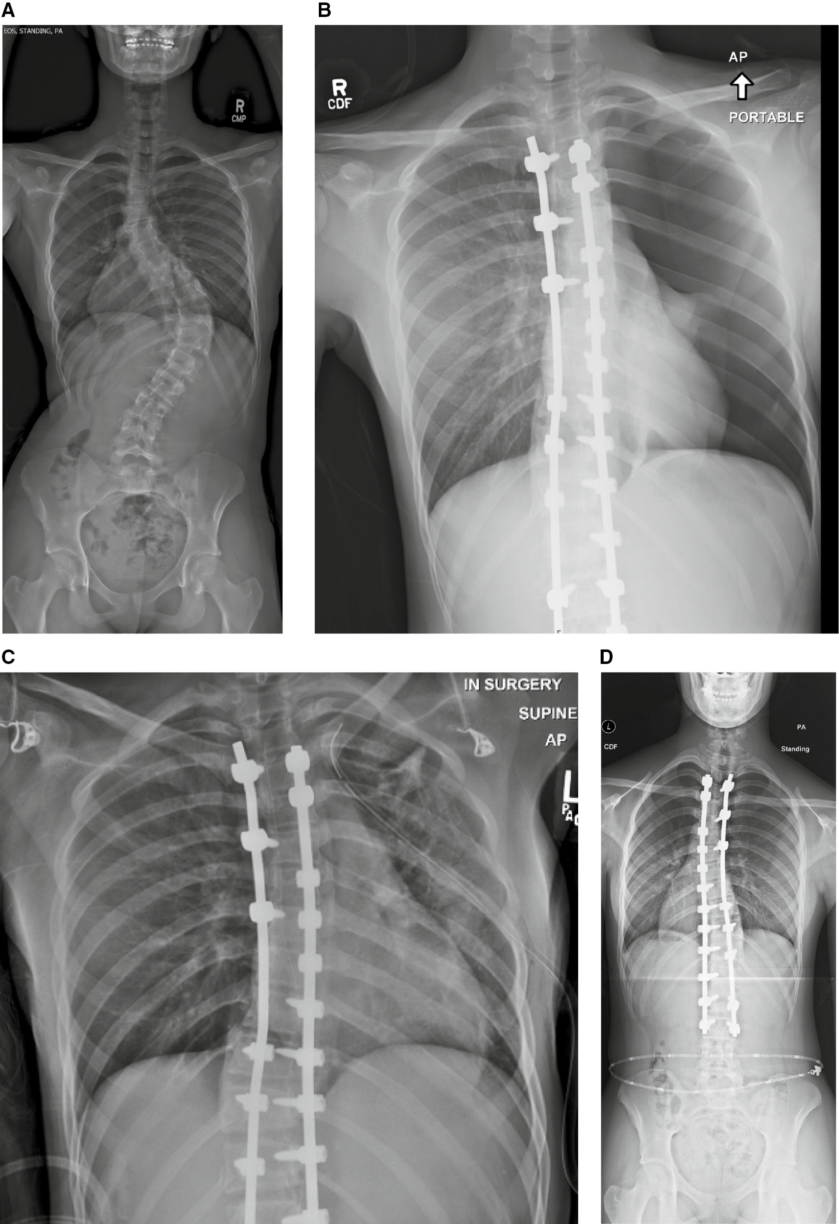 jposna20220024_fig1.jpg