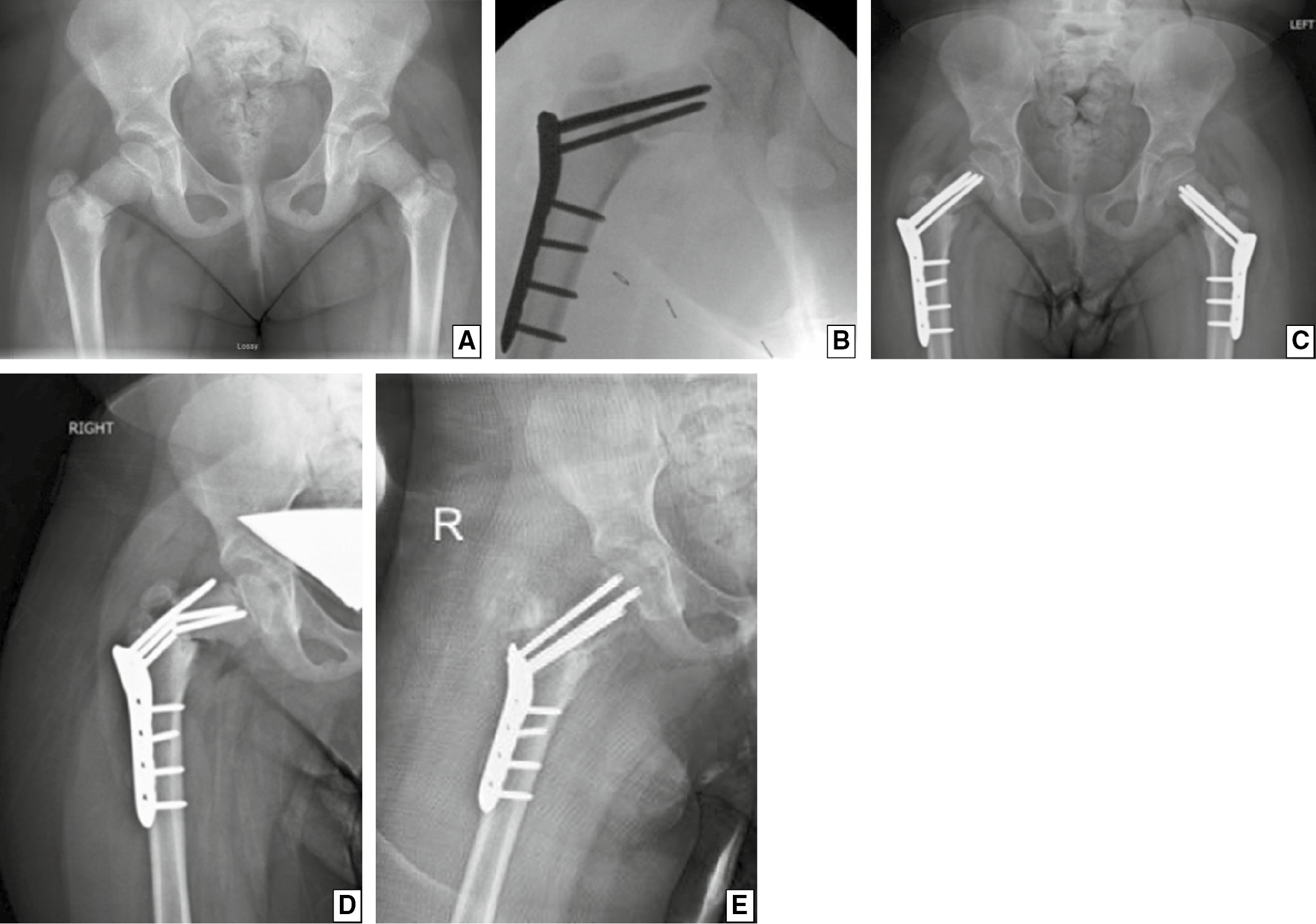 jposna2023436_fig2.jpg
