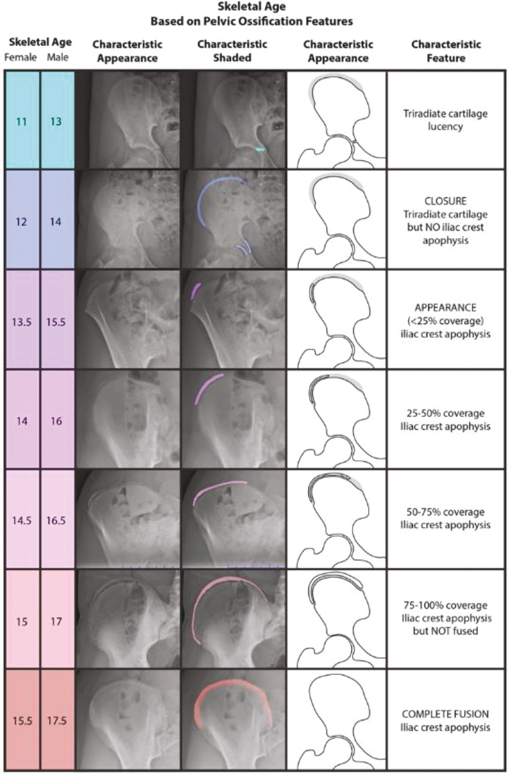 jposna20220027_fig4.jpg