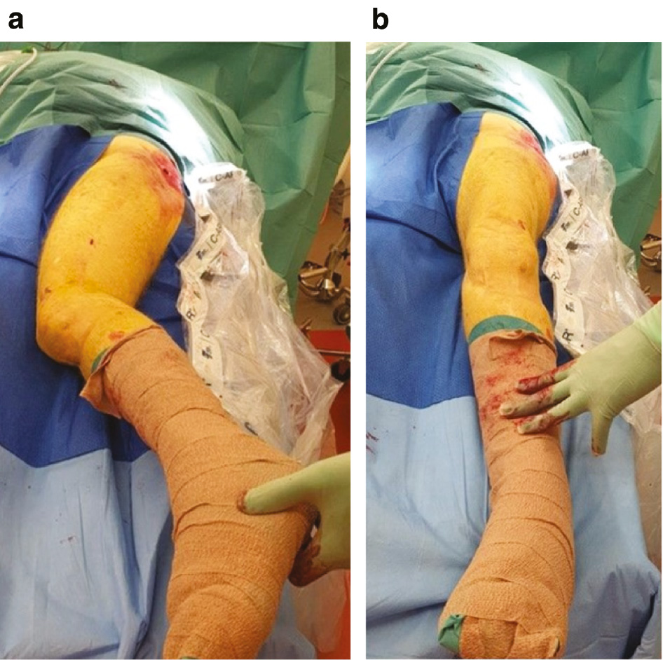 jposna20220031_fig3.jpg