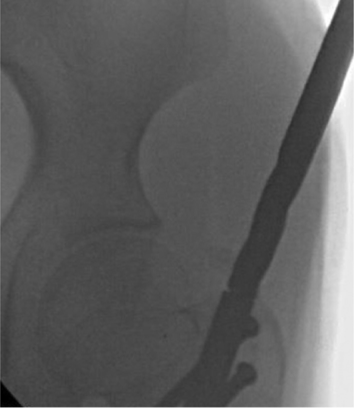 jposna20220031_fig10.jpg