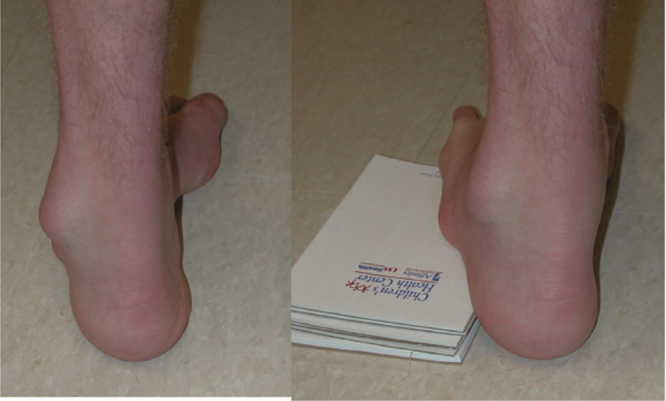 jposna20220035_fig7.jpg