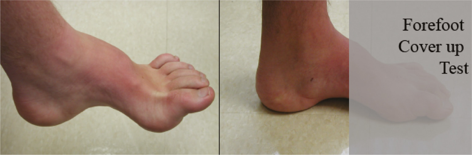 jposna20220035_fig13.jpg