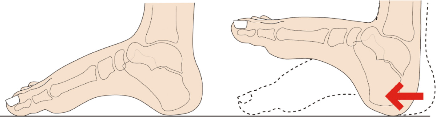 jposna20220038_fig14.jpg