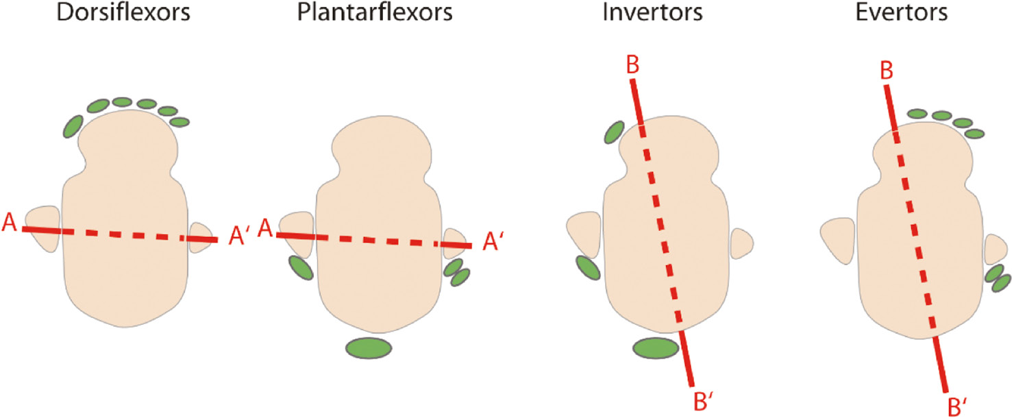 jposna20220038_fig18.jpg