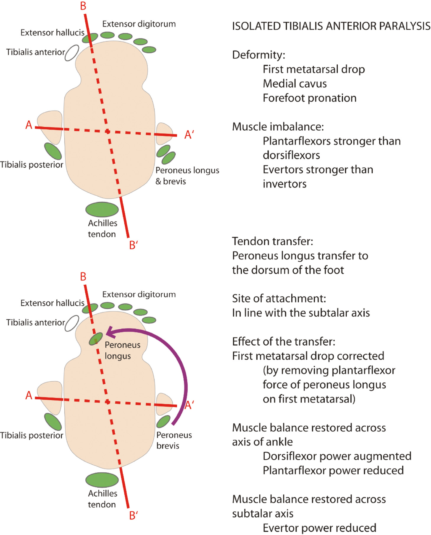 jposna20220038_fig19.jpg