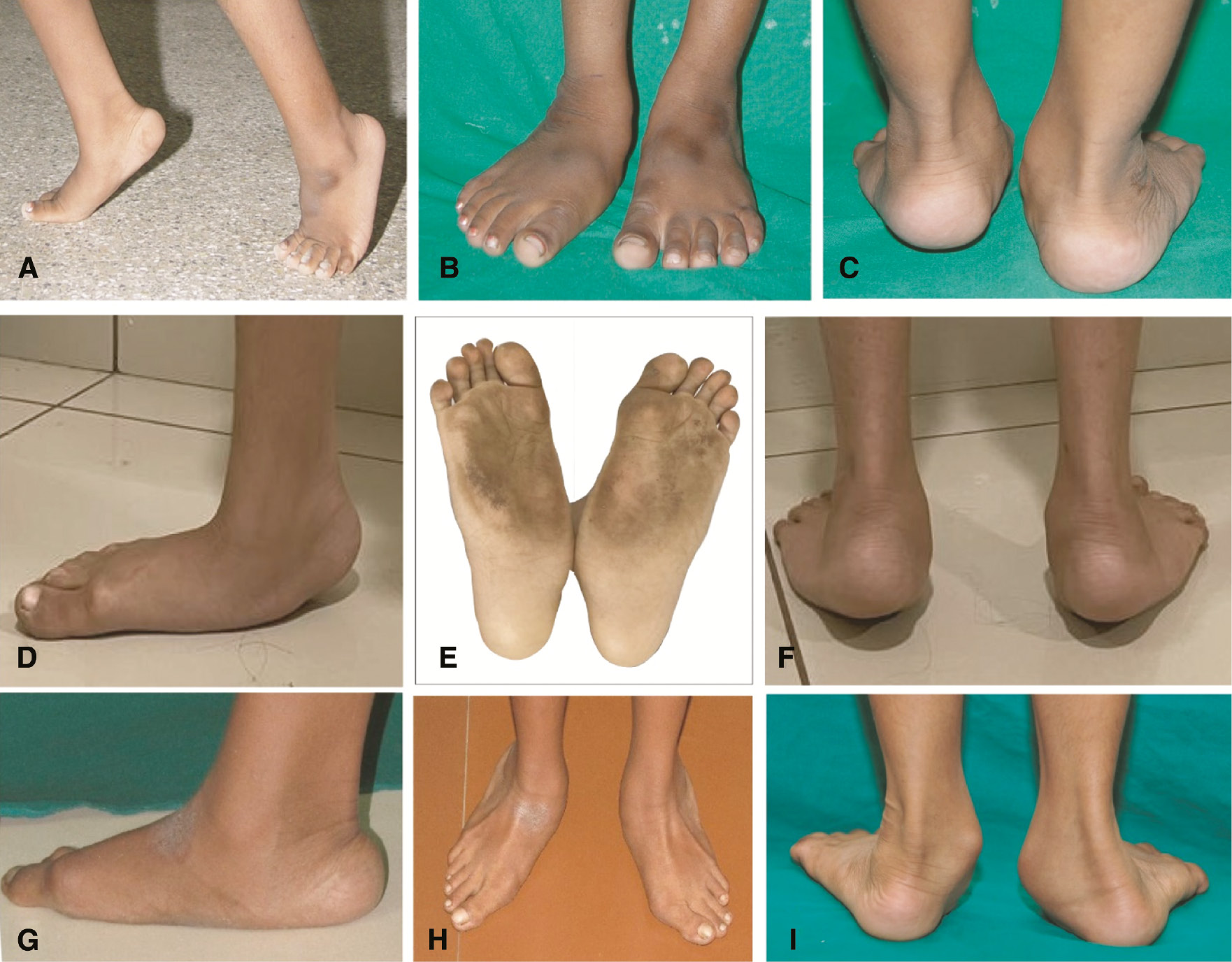jposna20220038_fig22.jpg