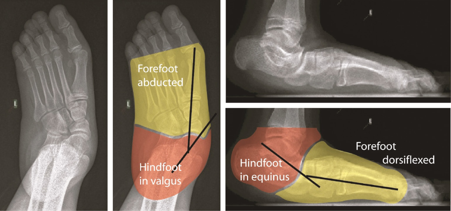jposna20220038_fig23.jpg