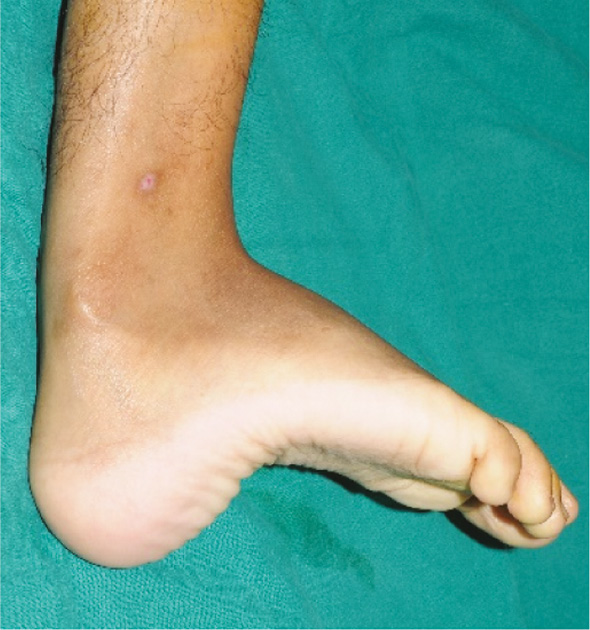 jposna20220038_fig24.jpg