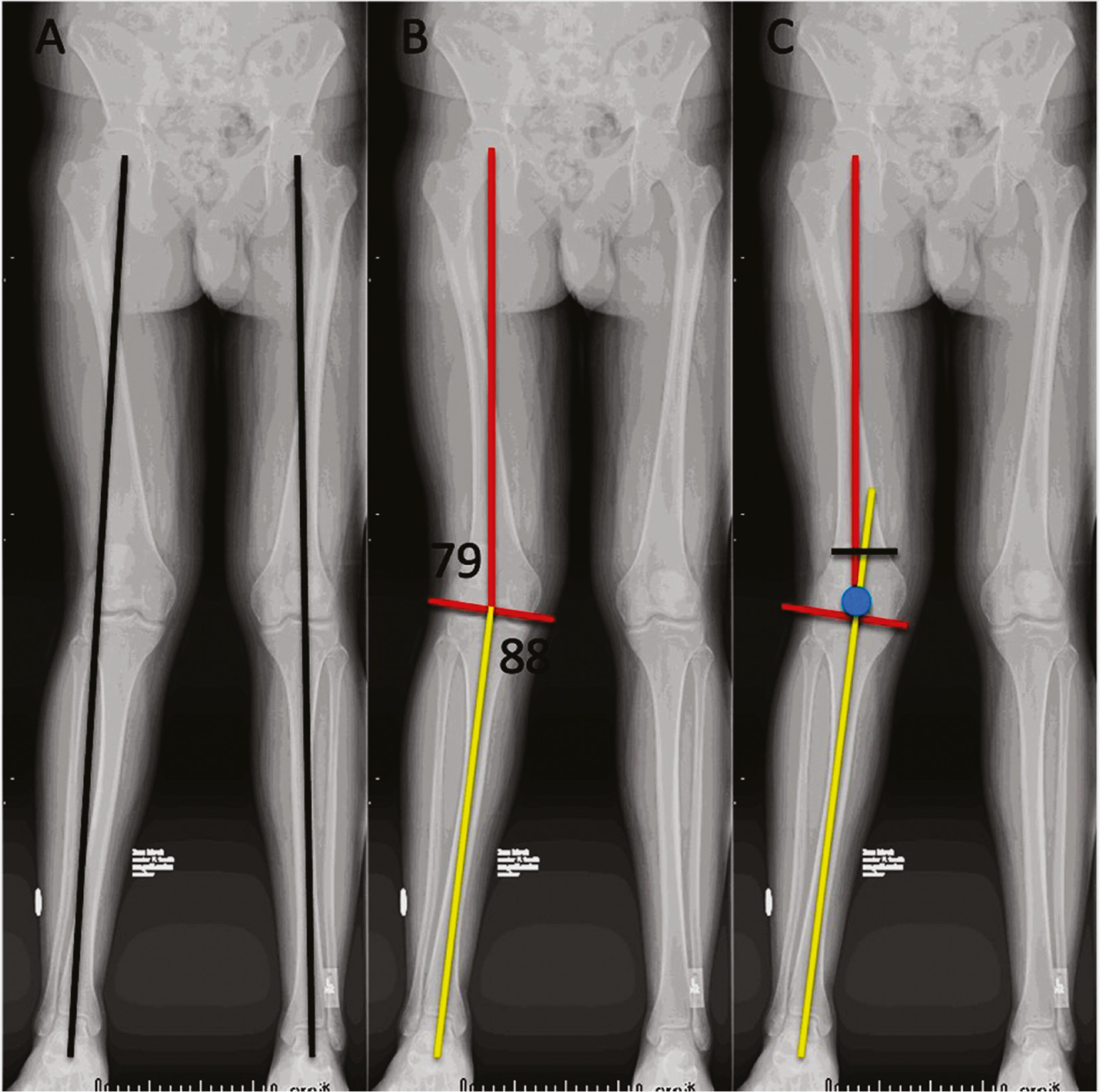 jposna20220033_fig1.jpg