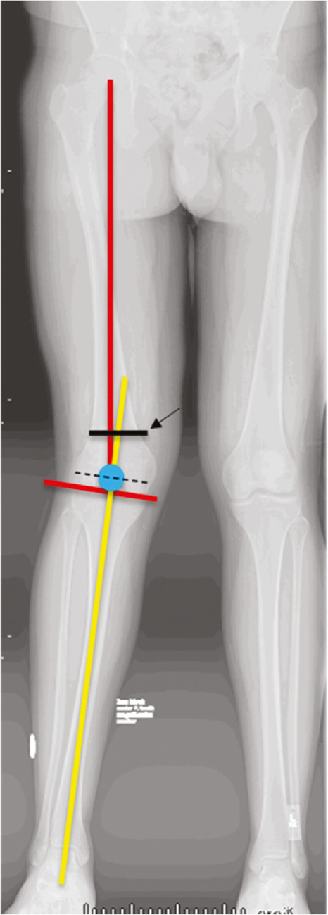jposna20220033_fig2.jpg