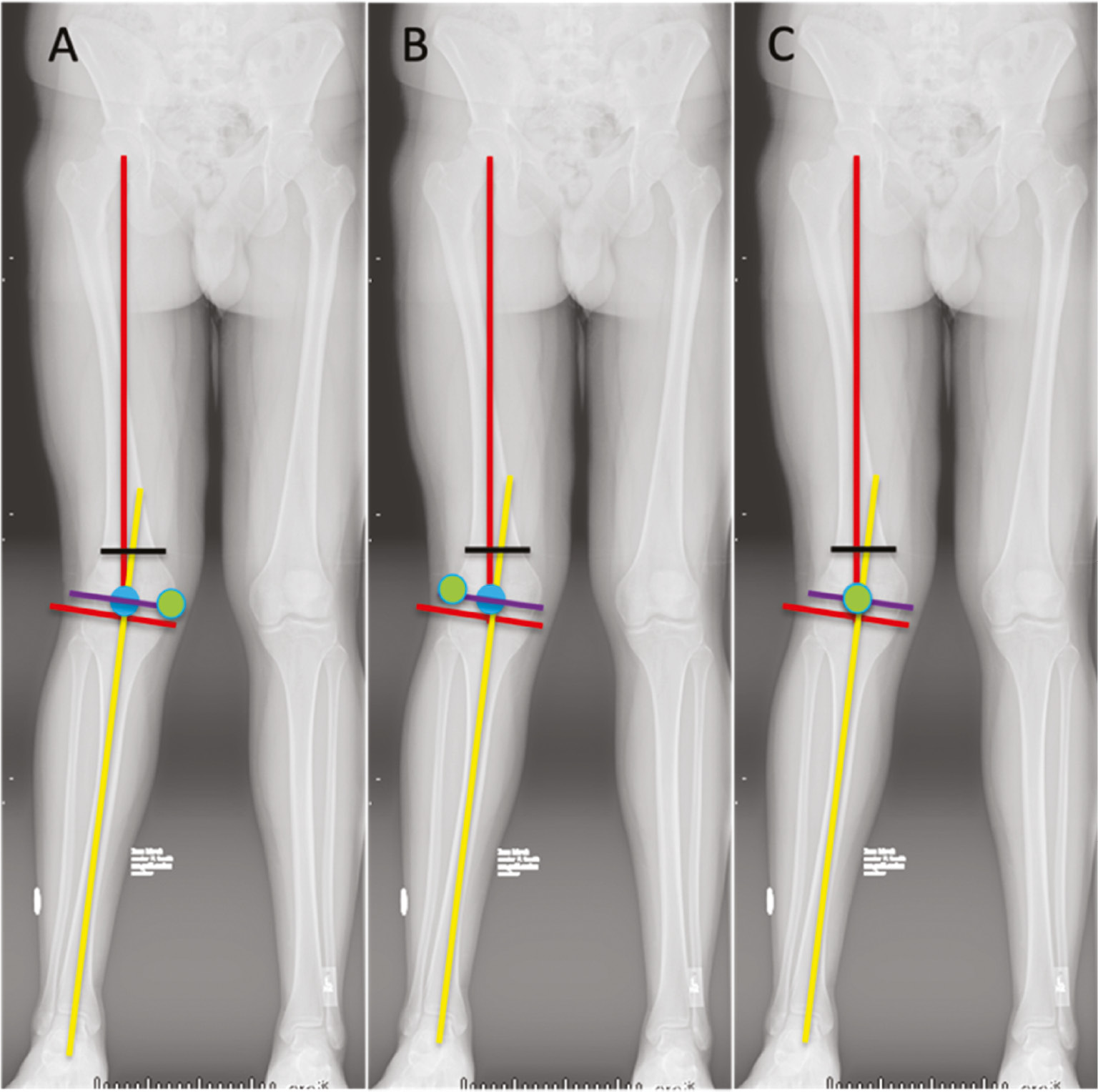 jposna20220033_fig3.jpg