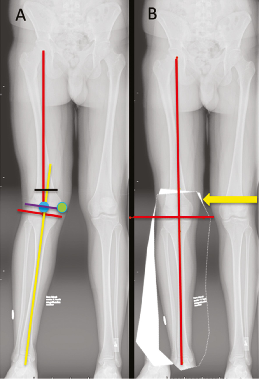 jposna20220033_fig4.jpg