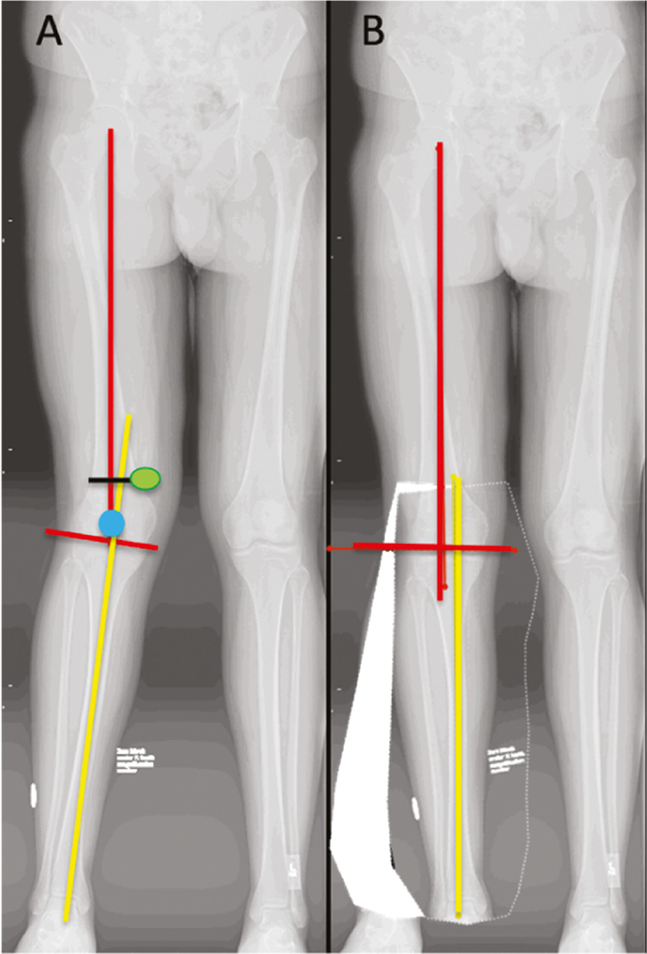 jposna20220033_fig5.jpg