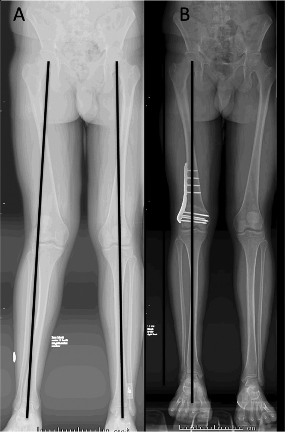 jposna20220033_fig8.jpg