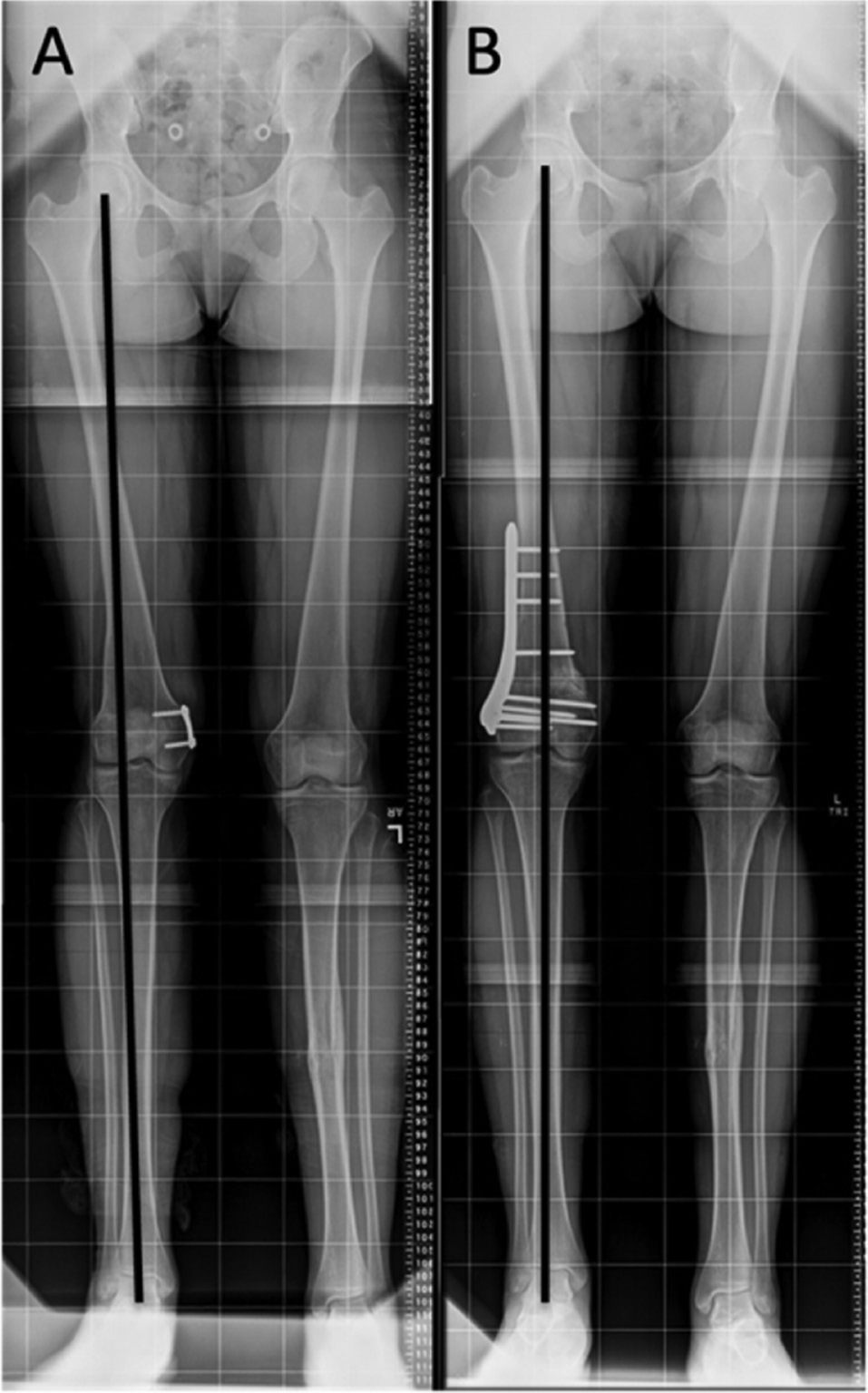 jposna20220033_fig10.jpg