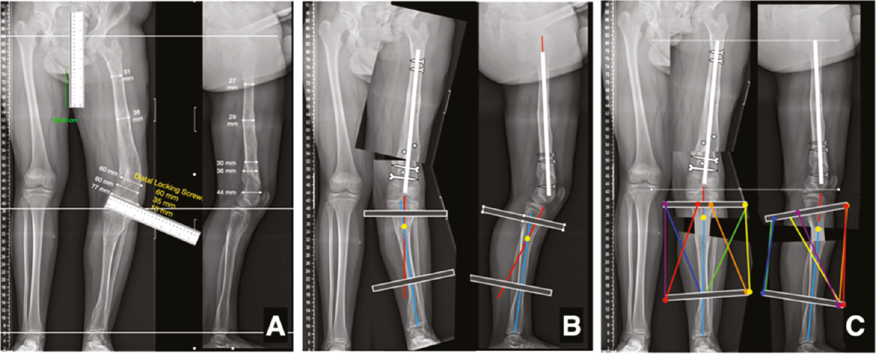 jposna20220066_fig8.jpg