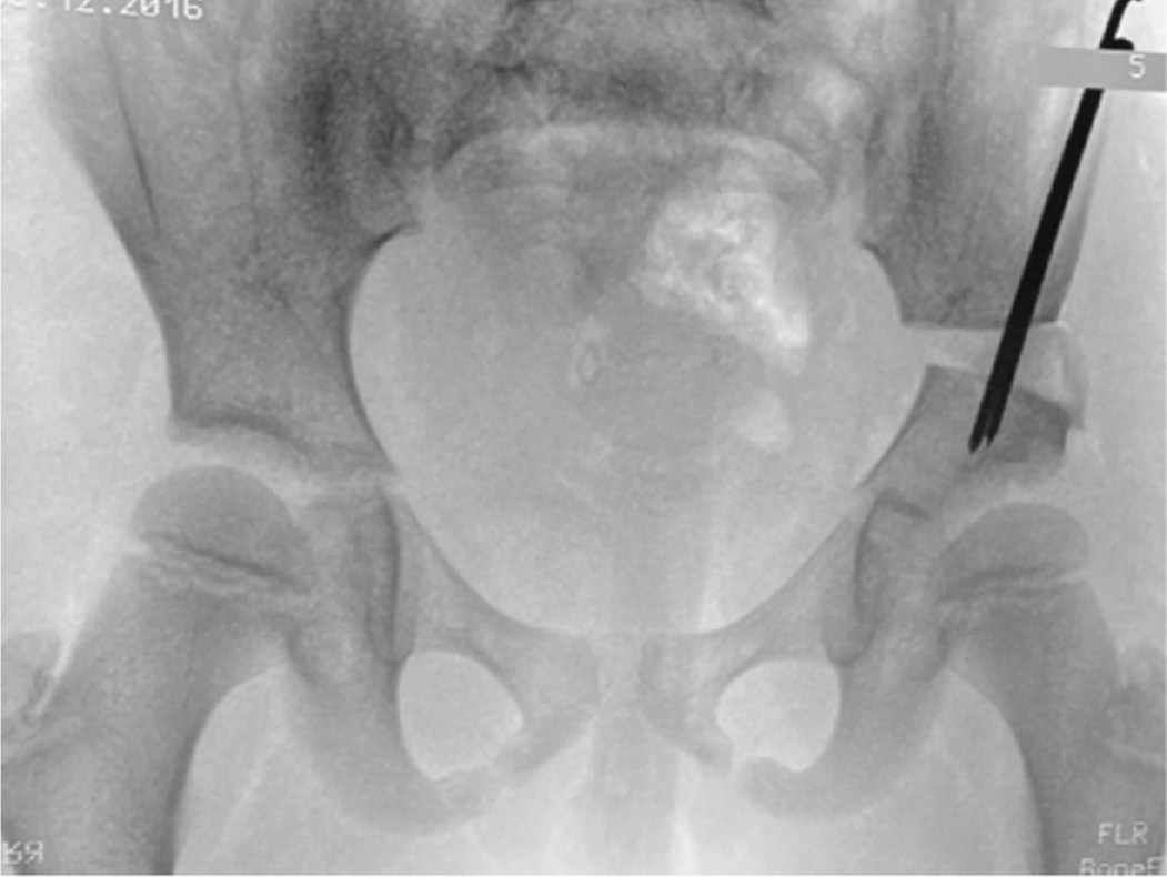 jposna20220071_fig13.jpg
