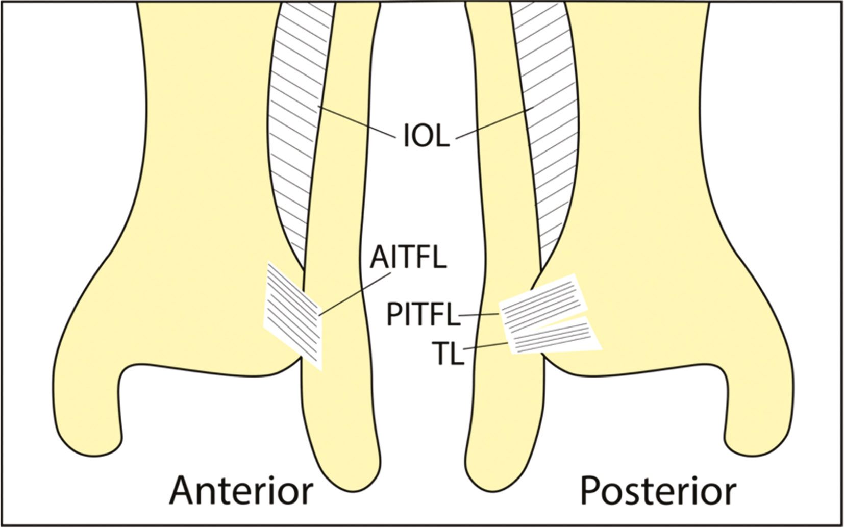 jposna2022553_fig1.jpg