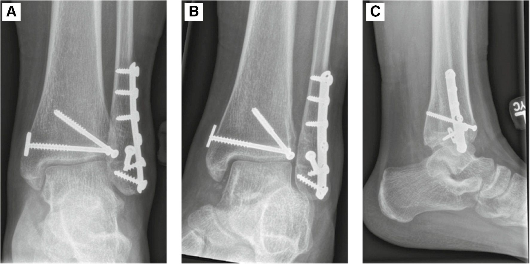jposna2022553_fig10.jpg