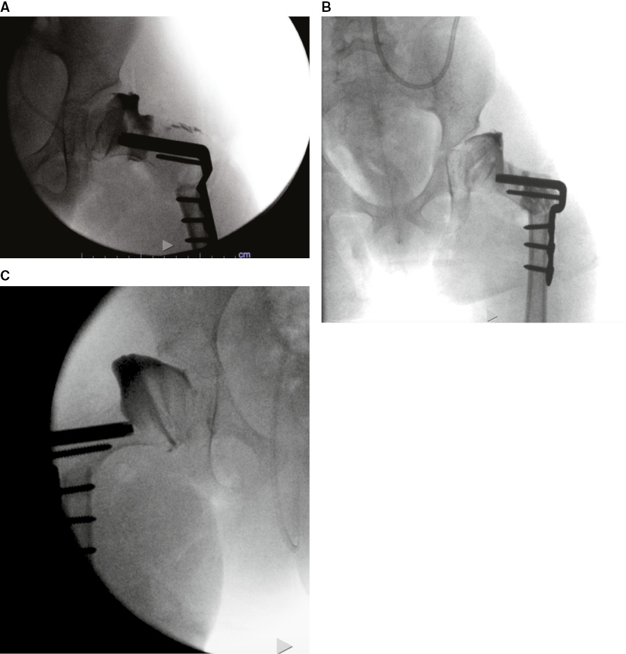 jposna2023595_fig1.jpg