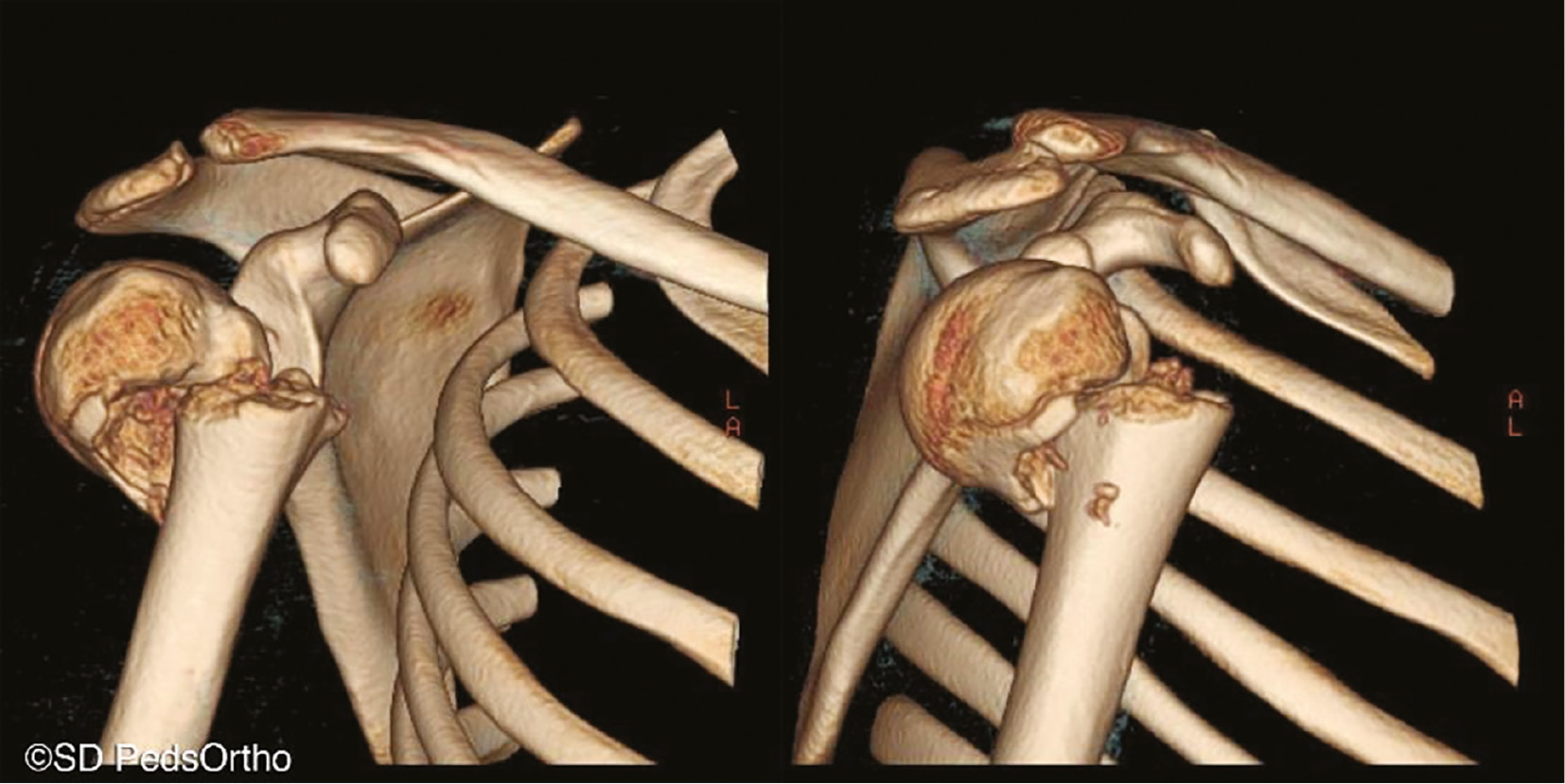 jposna2023633_fig2.jpg