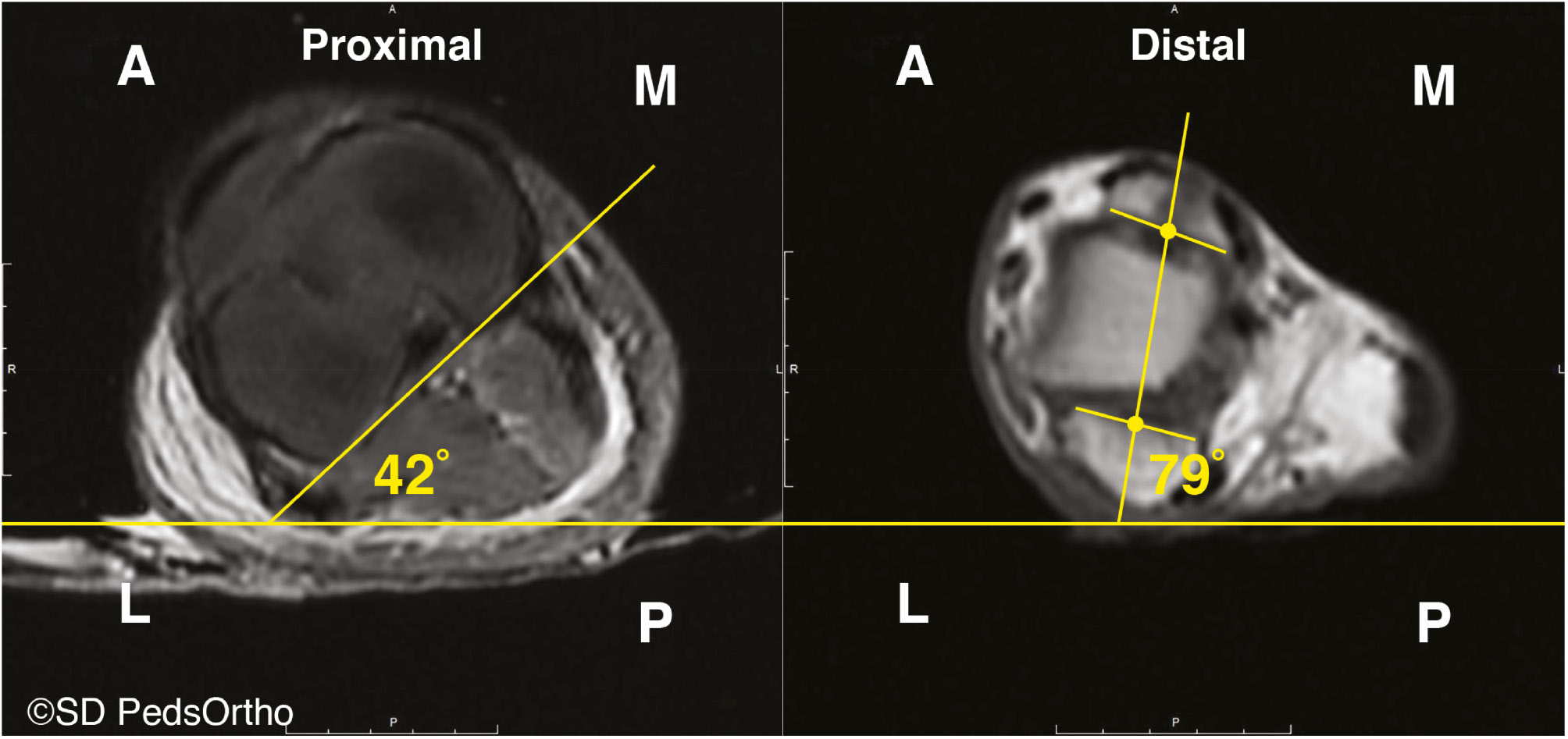 jposna2023661_fig2.jpg