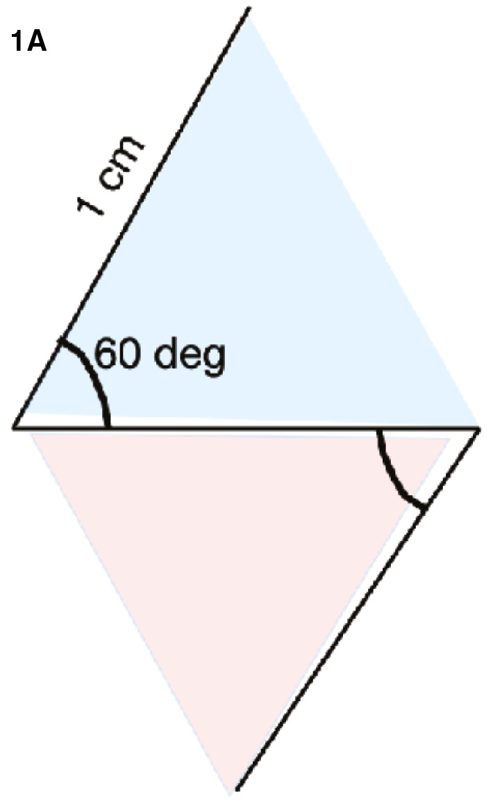 jposna2023700_fig1a.jpg