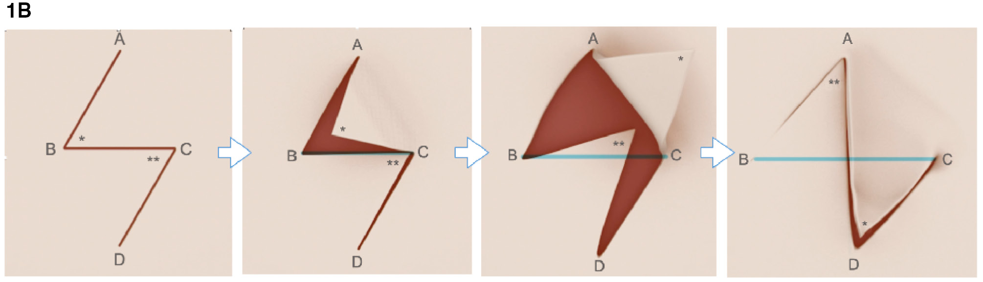 jposna2023700_fig1b.jpg