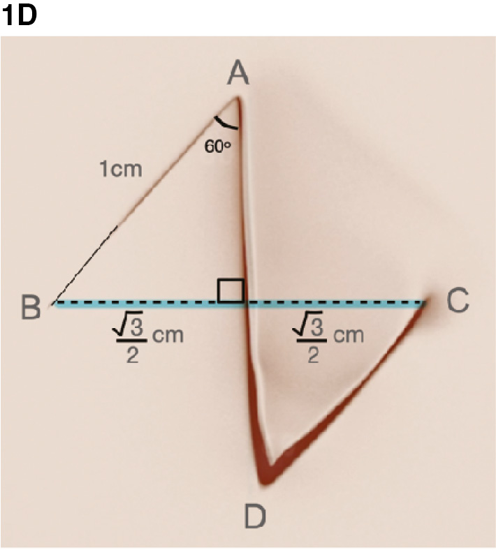 jposna2023700_fig1d.jpg