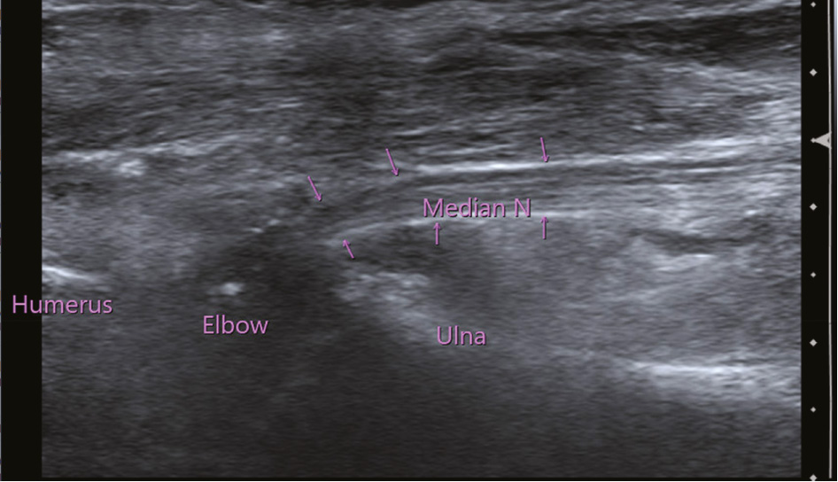 jposna2023708_fig7.jpg