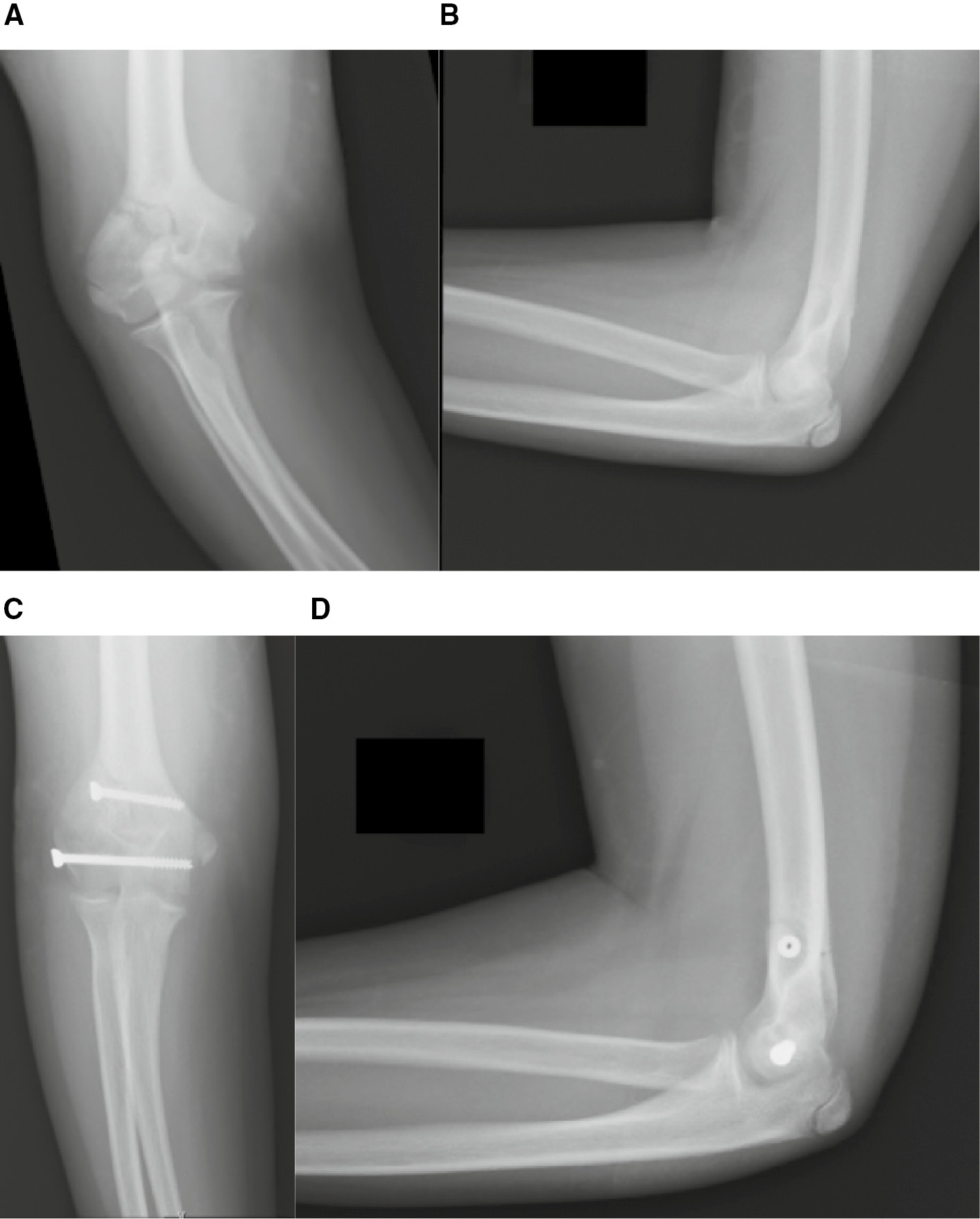 jposna2023716_fig8.jpg