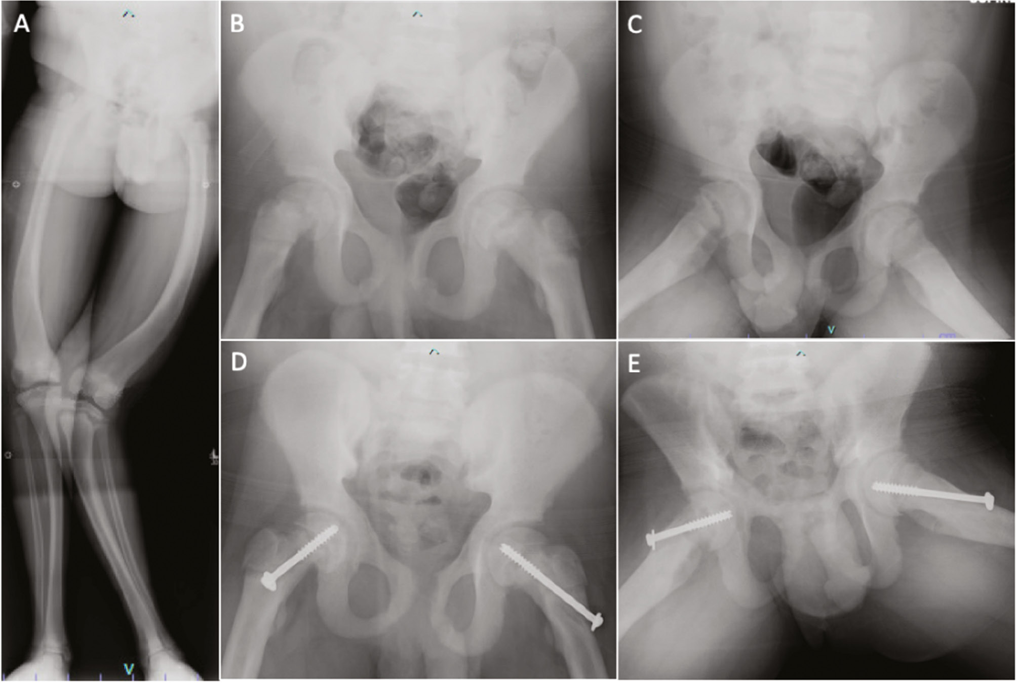 jposna2023727_fig4.jpg