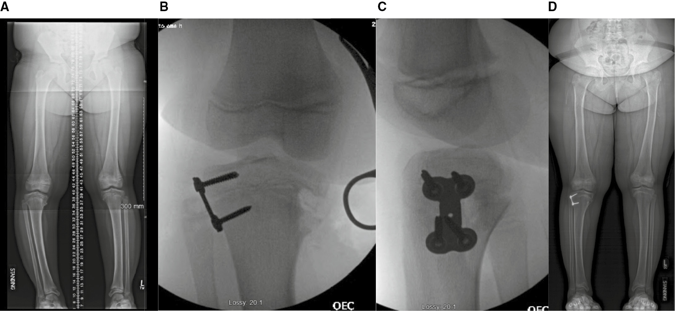 jposna2023738_fig3.jpg