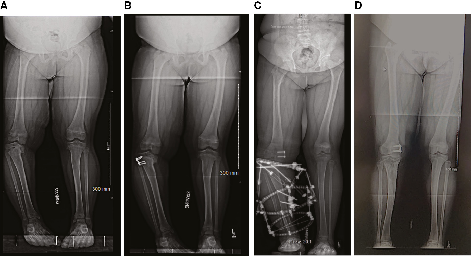 jposna2023738_fig4.jpg